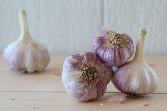 Garlic - Organic